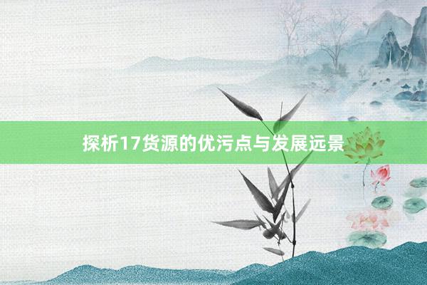 探析17货源的优污点与发展远景