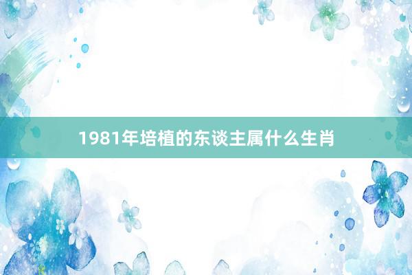 1981年培植的东谈主属什么生肖